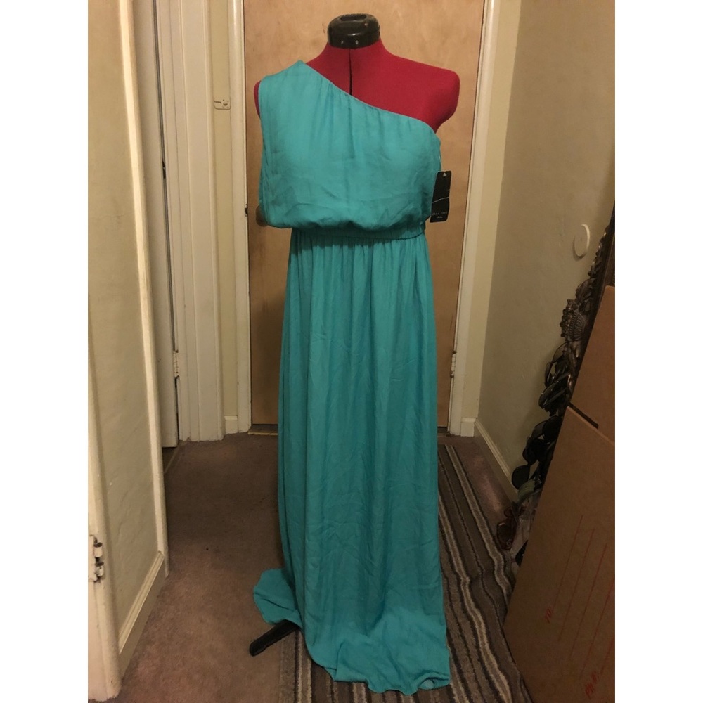 NWT Aqua ZARA One-shoulder Long Formal Dress